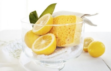 iStock_000019714803_s